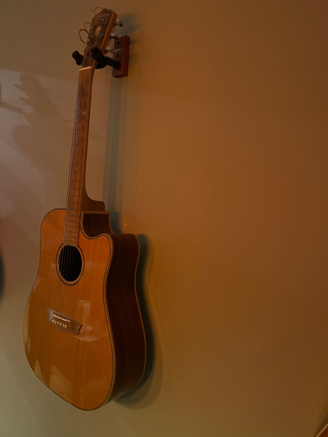 125th anniversary Washburn guitar  in Guitars in St. John's - Image 4