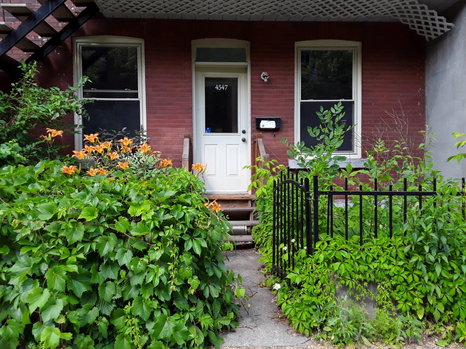 Creative & peaceful room in Plateau-Mont-Royal — photo 3
