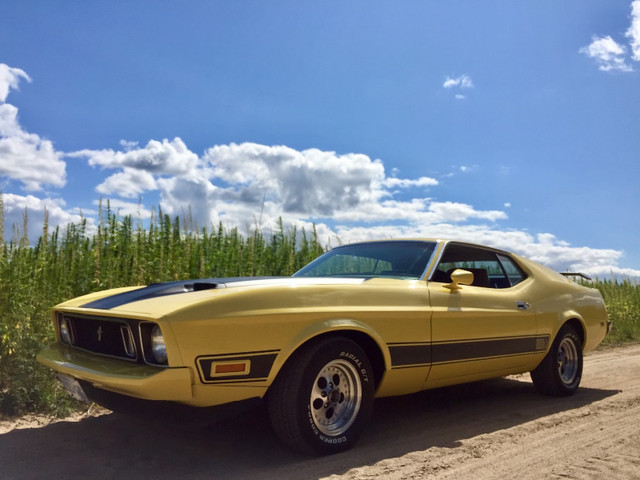 MACH 1 MUSTANG FULLY RESTORED in Classic Cars in Kitchener / Waterloo