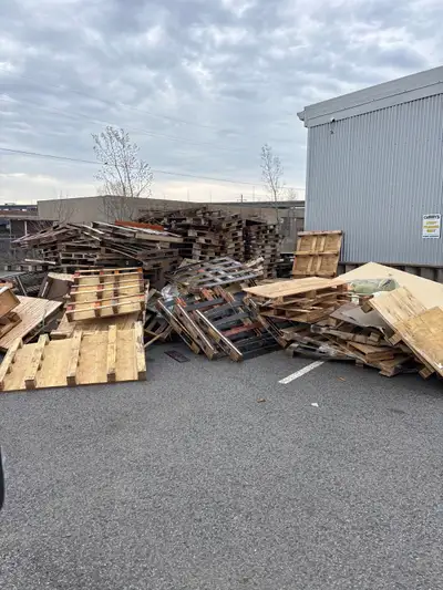 free skids , View more