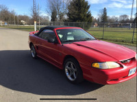 1994 Mustang GT 5.0L Automatic 