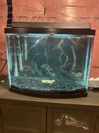 30 gallon bowfront aquarium