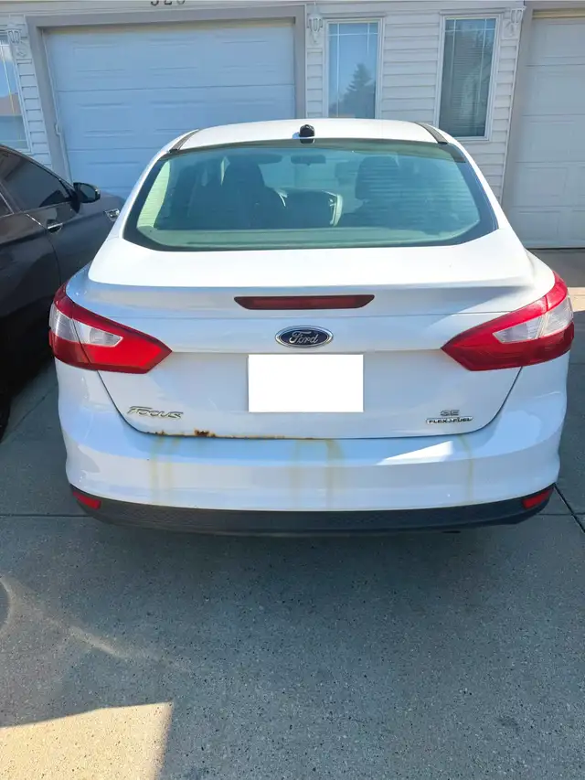 2013 Ford Focus566985191221504004
