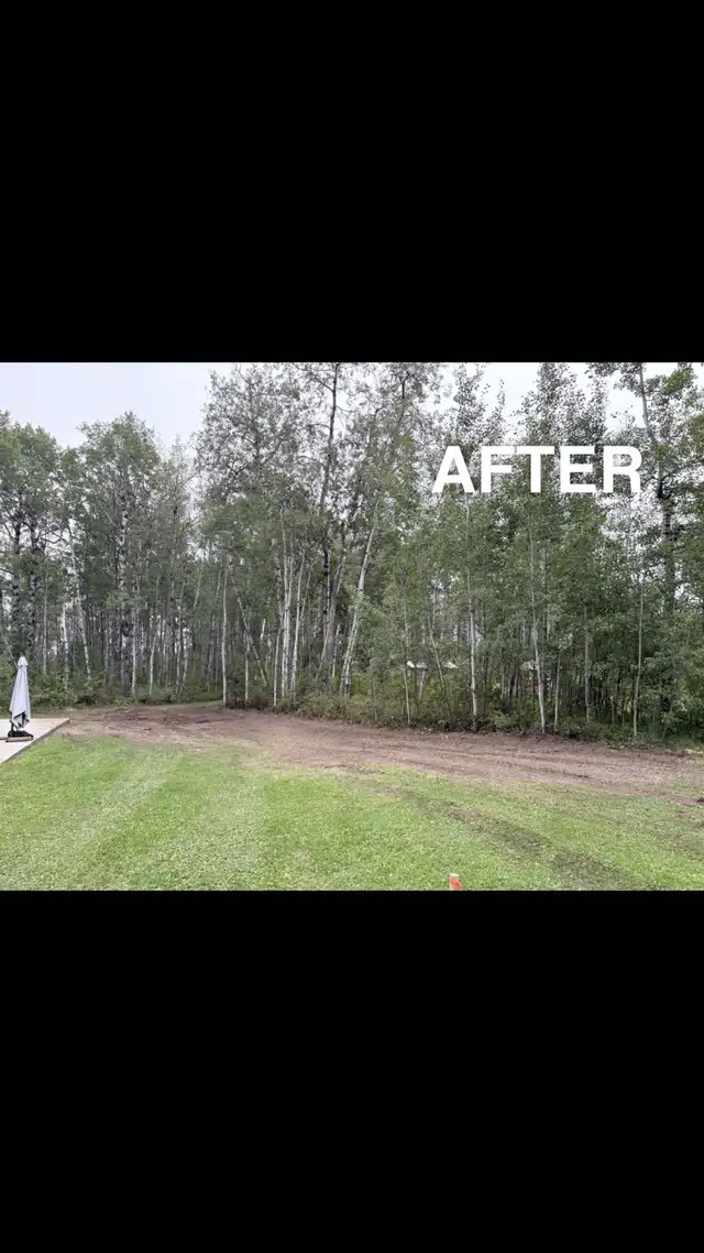 Mulching. Stump removal. Skid Steer services.572866413955000326