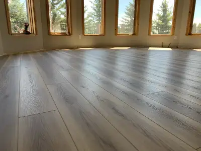 Handyman / Renovation Services – floor installation, painting, View more