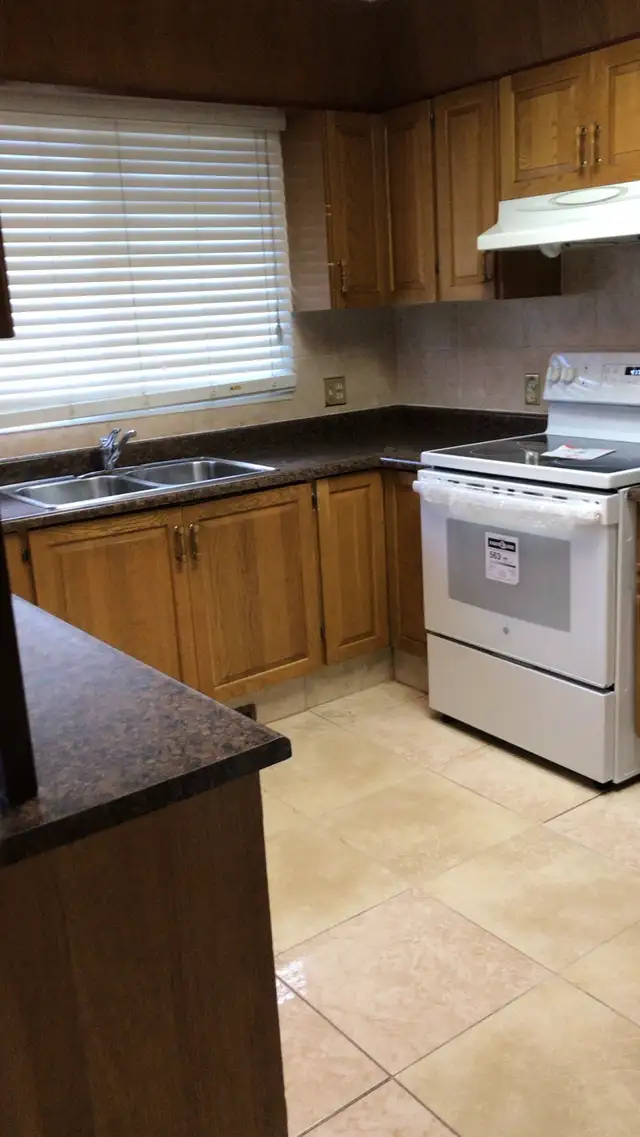 Cleaning lady 65048374808963120