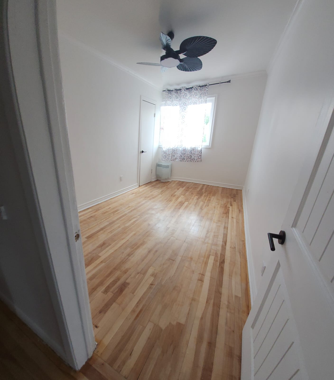 4½  2e triplex, rénové -  M. H. Beangrand- Libre maintenant — photo 2