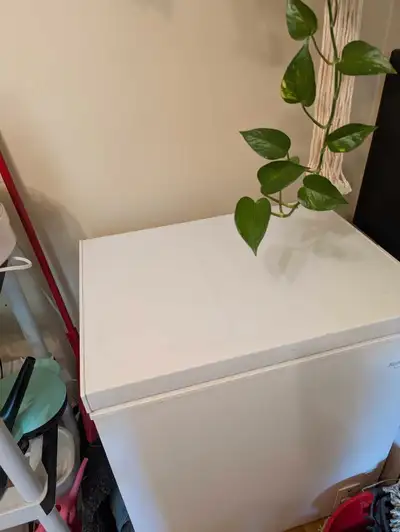 I have a used apartment sized deep freezer for sale. Works perfectly with no ice build up. Must come...