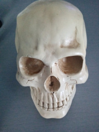 Crâne décoratif, tête de mort
