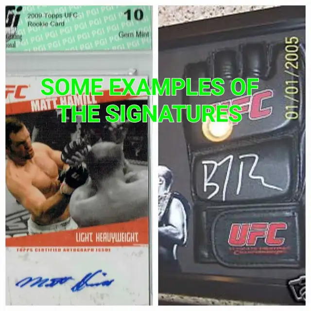 MMA / UFC Signed Gloves in Arts & Collectibles in St. Catharines - Image 9