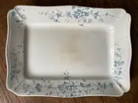 2 Victorian china platters Alcock Anemone blue and white