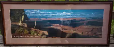 Canyonlands Park print, View more