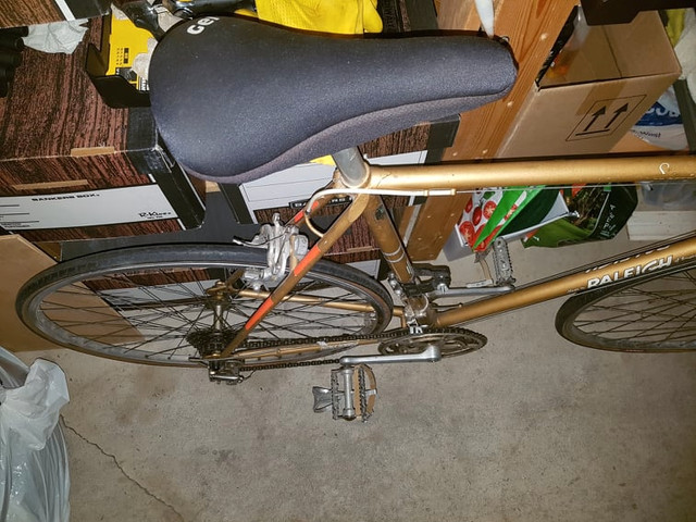 stefan kaiser raleigh