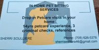 Experienced In your home petsitter  3 criminal checks,references