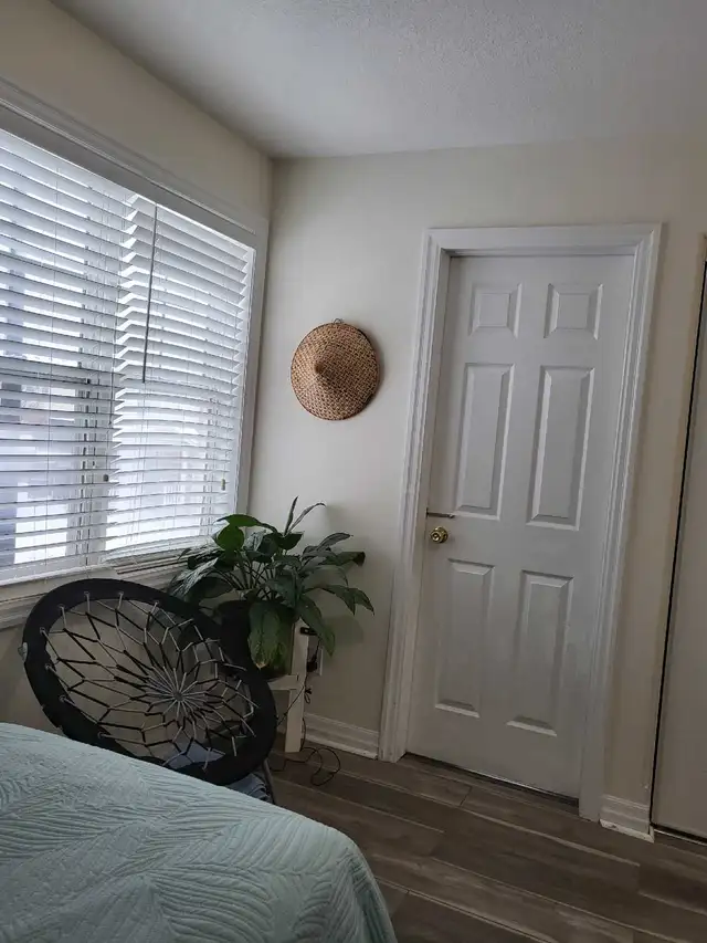 Room for Rent-Female only in Room Rentals & Roommates in Cambridge - Image 4