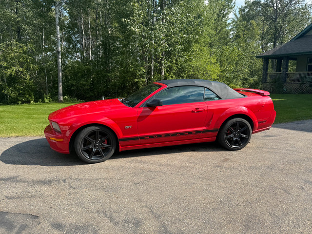 2006 Mustang GT Convertible  in Cars & Trucks in St. Albert
