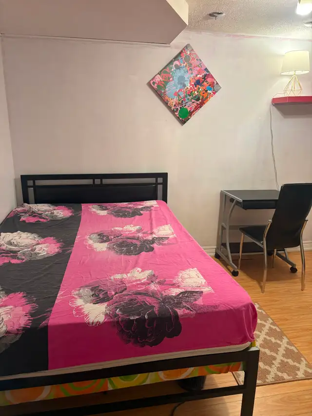Private Room in Basement for Rent for Females Only in Room Rentals & Roommates in City of Toronto - Image 4
