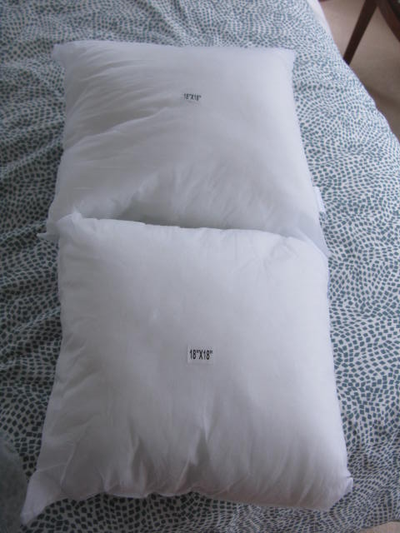 Set of Six BNNU 18" x 18" pillow inserts, View more