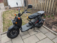 Honda Ruckus 2020 stock