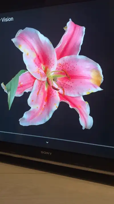 SONY TV BRAVIA, View more