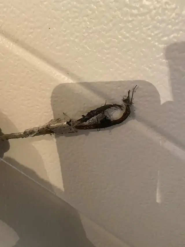 Garage Door Repair Edmonton , punjabi hindi eng63347532137089123