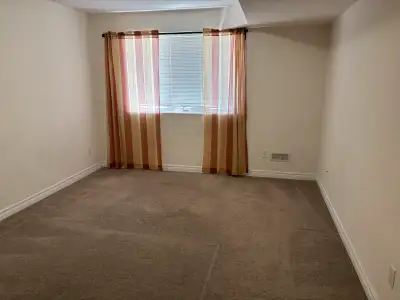 1 BR LEGAL WALKOUT BASEMENT APARTMENT FOR RENT NEWMARKET