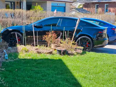 For Sale, Rent on Turo/Private Luxury Car Rentals. https://turo.com/us/en/car-rental/canada/brampton...
