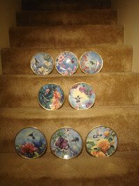 Gems of Nature, The Beautiful Humming Bird Series Plates