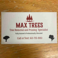 Tree removal and pruning specialist 