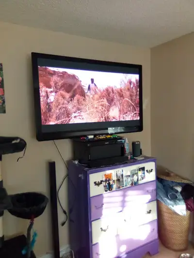 Panasonic 50" TV + Surround sound system/tower speakers/bass + BluRay player $100 OBO