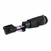 We have the Front and Rear Struts, Shock Absorbers, Air Springs, Air Compressors, and ride level sen...