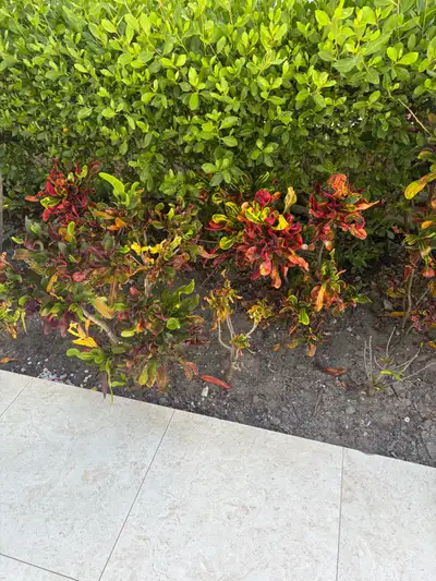 House Cleaning Available, View more