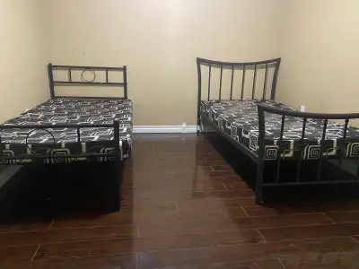 One private bedroom available for females only in two bedrooms basement near Torbram and Sandalwood...