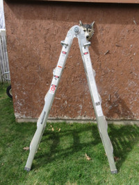 21' Aluminum Ladder