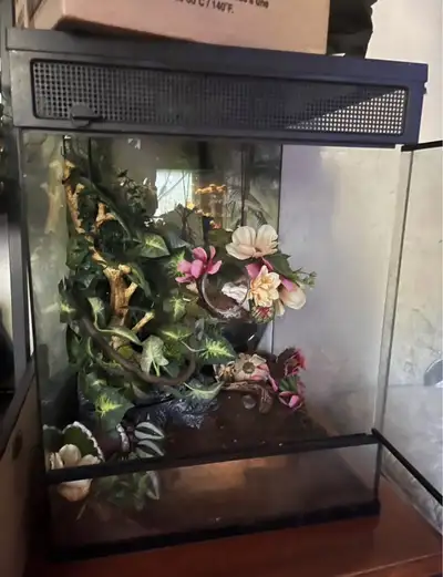30 Gallon Terrarium + accessories and supplies , View more
