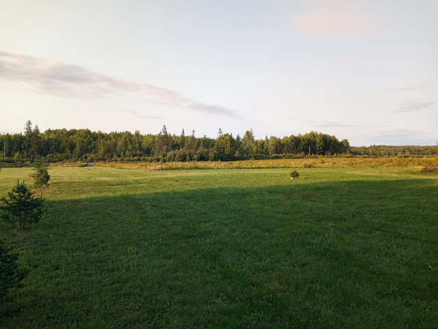 Get out of the city to this beautiful rural acreage in Land for Sale in City of Toronto - Image 2