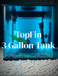 Starter fish tank bundle: Tank, filter, oxygen, heater, decor 