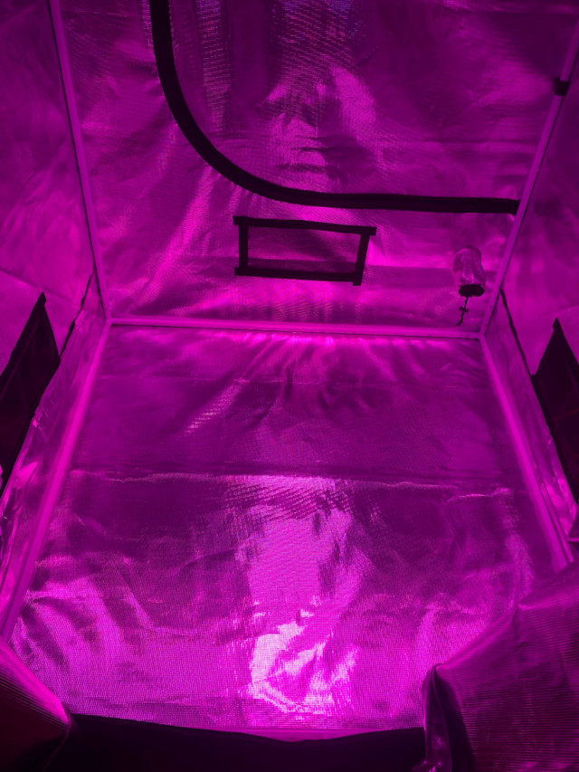 Grow tent, light and ventilation system  in Hobbies & Crafts in Truro - Image 2