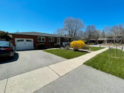 Spacious 1-Bedroom Basement Apartment – Prime Location!