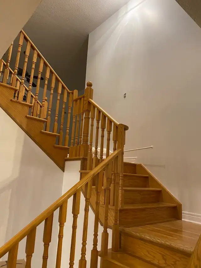 professional painter64728170439299122