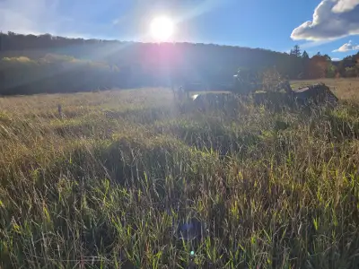 For sale, 160 acres in an unorganized township. I hour from the Sault. 50-60 acres clear for cattle...
