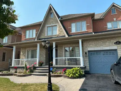 Spacious Basement for Rent