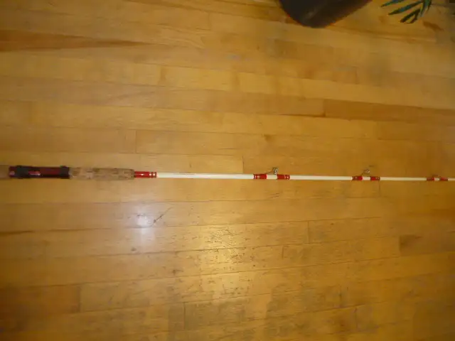 Canne a peche en mer, tres solid, Ocean fishing rod64519992657539124