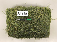 Compressed pure alfalfa small squares