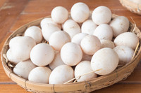 Duck Eggs for Sale