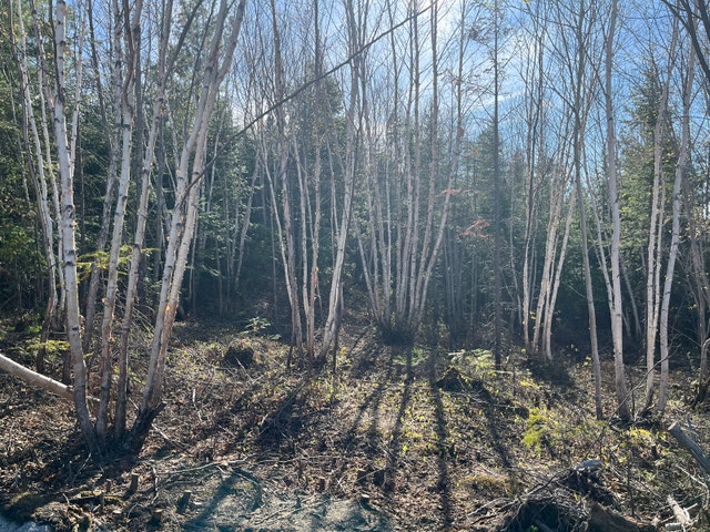 terrain à vendre avec vue sur les monts valins — photo 3