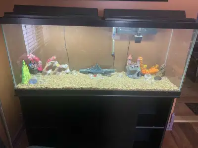 60 Gallon Aquarium With Stand