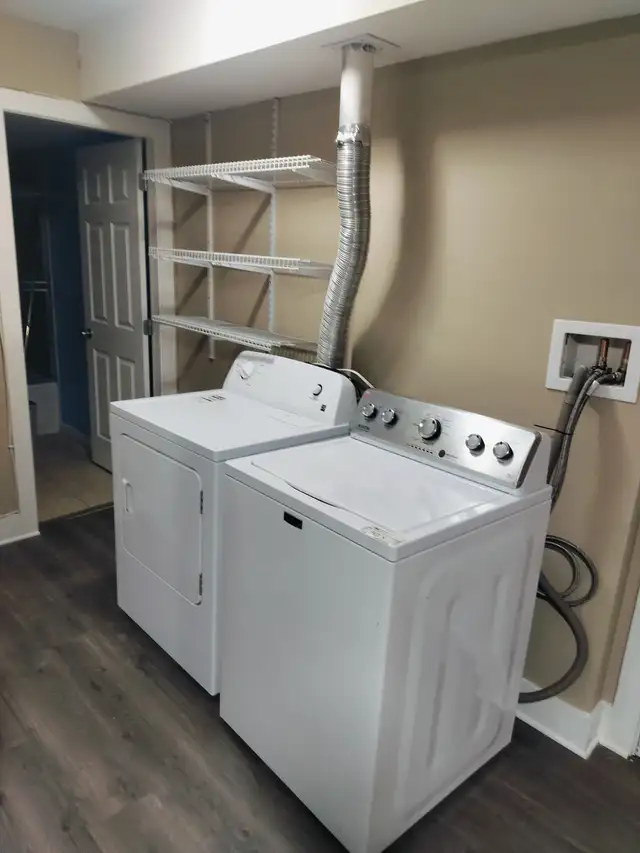 New paint/floor 2br Willoughby legal basement suite for rent in Long Term Rentals in Delta/Surrey/Langley - Image 4