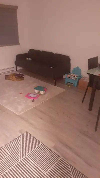 Bonjour chambre meublé disponible dans un 4/2 à saint léonard. Fille uniquement. 700$ le mois tout i...