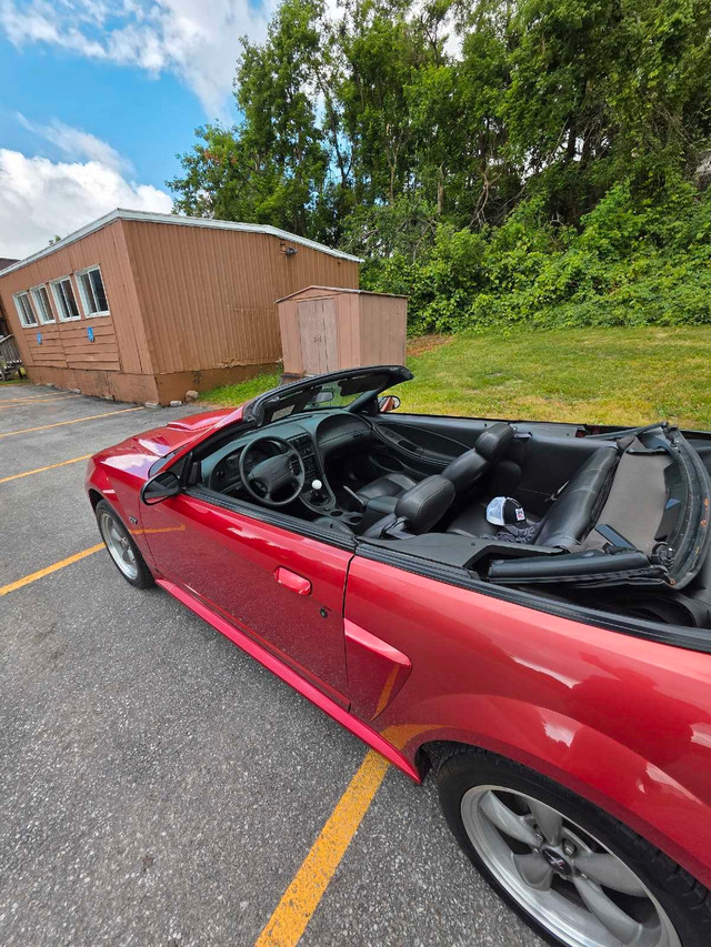 2002 Mustang GT Convertible  in Cars & Trucks in Kawartha Lakes - Image 3